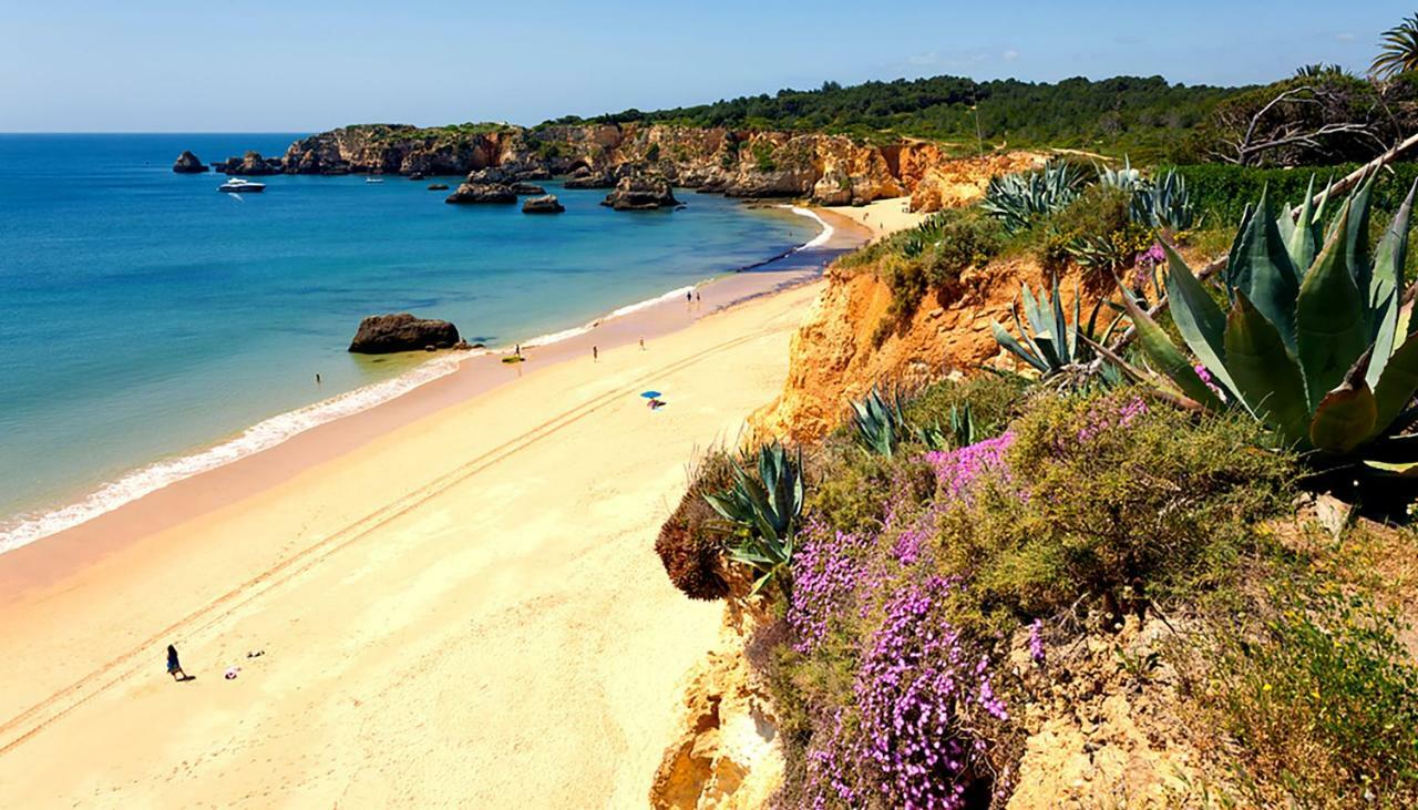 Apartamento Praia Rocha T1 Portimao Ngoại thất bức ảnh